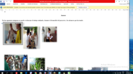 Timeline: EVIDENCIAS DEL PROYECTO DE APICULTURA 2016