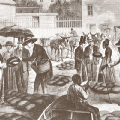 Timeline: 19 Century