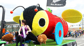 Timeline: Blossom Festival