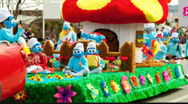 Timeline: Blossom Festival