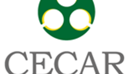 Timeline: Evolución de las TIC y aplicación en la sociedad