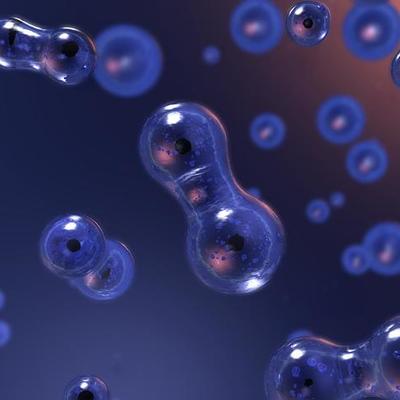 Timeline: Cell Theory Timeline