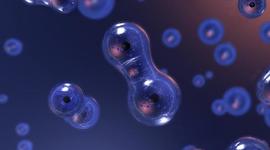 Timeline: Cell Theory Timeline