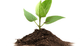 Timeline: Spontaneous Generation