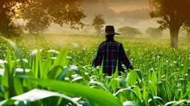 Timeline: ANTECEDENTES NIC 41