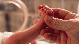 Timeline: I was born in 1976, Belo Horizonte, Brazil.