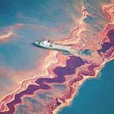 Timeline: BIORREMEDIACIÓN