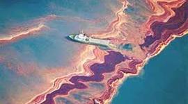 Timeline: BIORREMEDIACIÓN