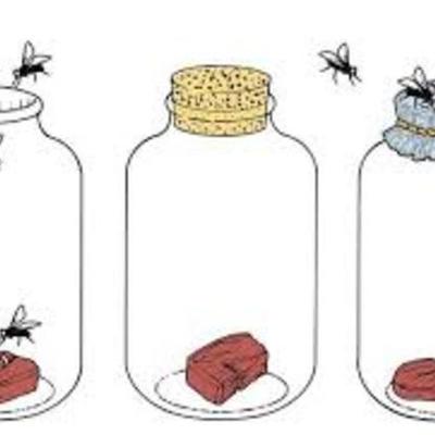 Timeline: Spontaneous Generation Timeline