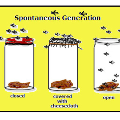 Timeline: History of Spontaneous Generation