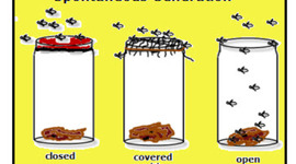 Timeline: History of Spontaneous Generation