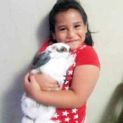 Timeline: Linea de Tiempo de Saris