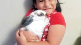 Timeline: Linea de Tiempo de Saris