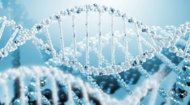 Timeline: Linea de tiempo sobre la Historia de la Genetica