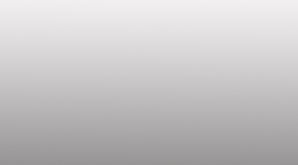 Timeline: Origen de la empresa