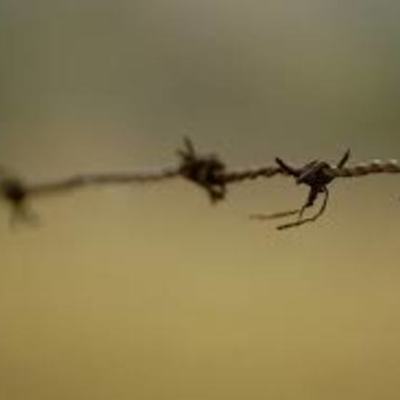 Timeline: Westward Expansion (1860-1900)