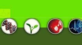 Timeline: Historia de la Bioetica