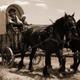 Westward expansion