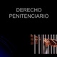 Derecho penitenciario 1 728