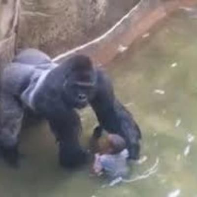 Timeline: The Atomic Theory Timeline