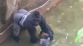 Timeline: The Atomic Theory Timeline