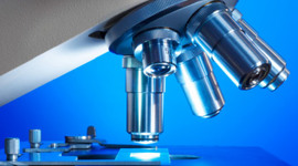 Timeline: History of Microbiology