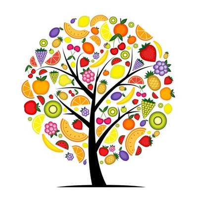 Timeline: La Historia de la Nutrición