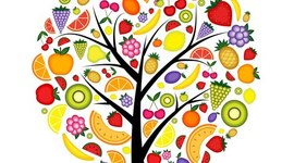 Timeline: La Historia de la Nutrición