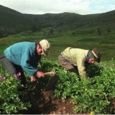 Timeline: Legislación Agraria