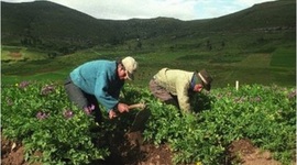 Timeline: Legislación Agraria