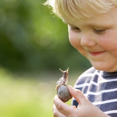 Timeline: Timeline of Typical Student Behavior