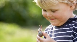 Timeline: Timeline of Typical Student Behavior