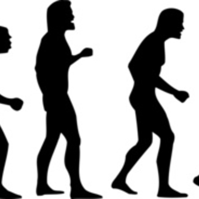 Timeline: Evolución de las formas de procesamiento