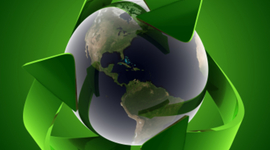 Timeline: La Historia de la Ecología