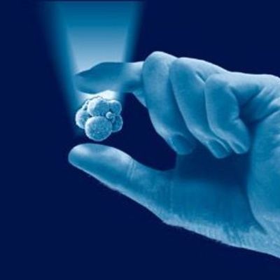 Timeline: HECHOS IMPORTANTES DE LA BIOETICA