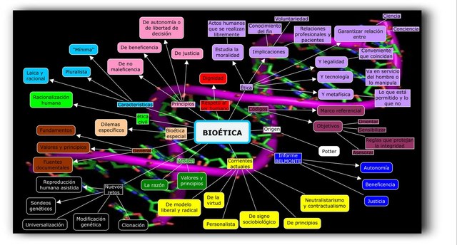 HECHOS IMPORTANTES DE LA BIOETICA timeline | Timetoast timelines