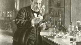 Timeline: Spontaneous Generation Timeline for Mr. Tebo's Bio II Class