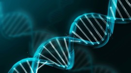 Timeline: La Historia de la Genética