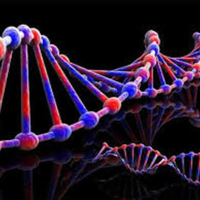 Timeline: Avances Biologicos