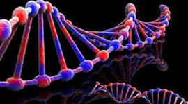 Timeline: Avances Biologicos