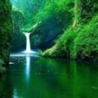 Timeline: GESTIÓN AMBIENTAL