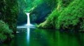 Timeline: GESTIÓN AMBIENTAL