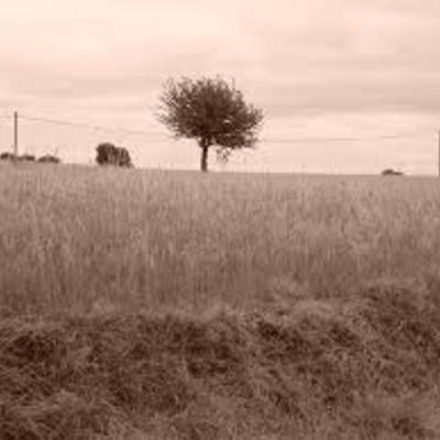 Timeline: Amber, Brandon, Camby and Kyle