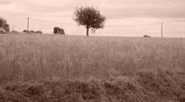 Timeline: Amber, Brandon, Camby and Kyle