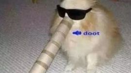 Timeline: Economy From 2007 to Present Group 6