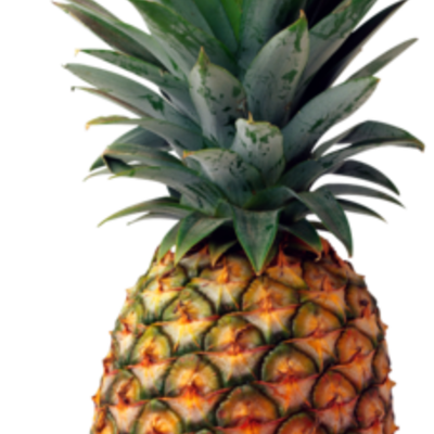 Timeline: Food Science