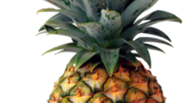 Timeline: Food Science