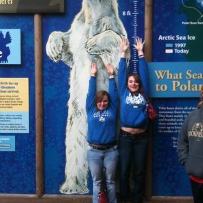 Timeline: Brittany Fish's Literacy History TImeline