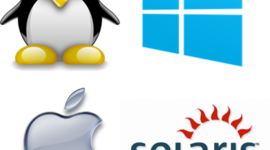 Timeline: Antecedentes