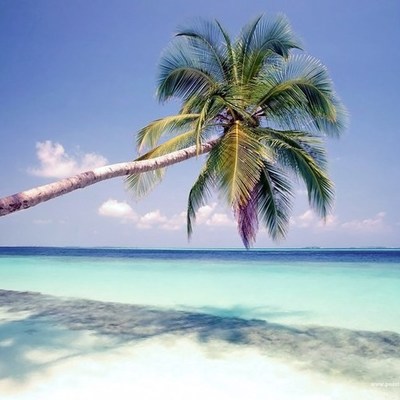 Timeline: Desarrollo turístico de méxico y antecedentes del derecho ambiental en mexio